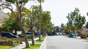 Beautiful homes in a Cerritos neighborhood featuring spacious residential streets and family-friendly suburban living