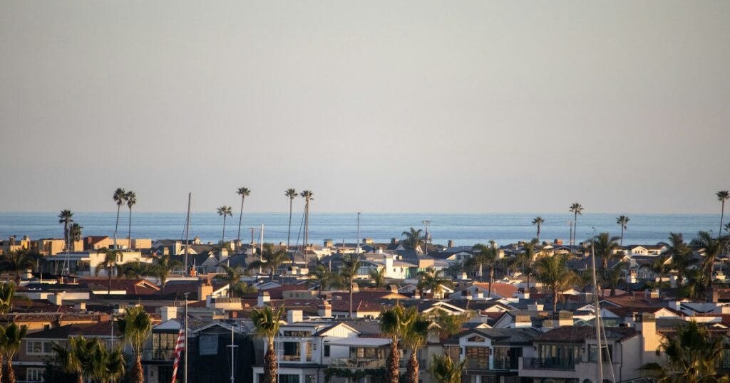 Homes with palm trees and the ocean in the distance