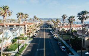 Aerial view of a palm-lined street with a mix of homes and the ocean in the distance
